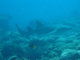 Pousada em Fernando de Noronha